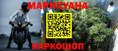 сатива Будённовск