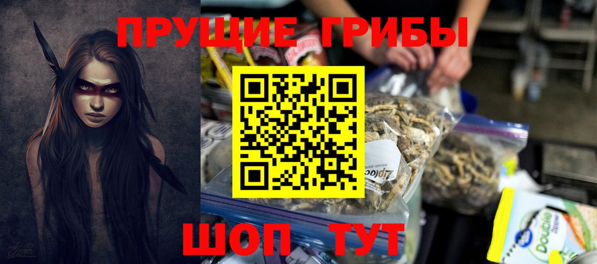 Полевской  Галлюциногенные грибы Psilocybe  Галлюциногенные грибы прущие грибы  Вход с VPN 