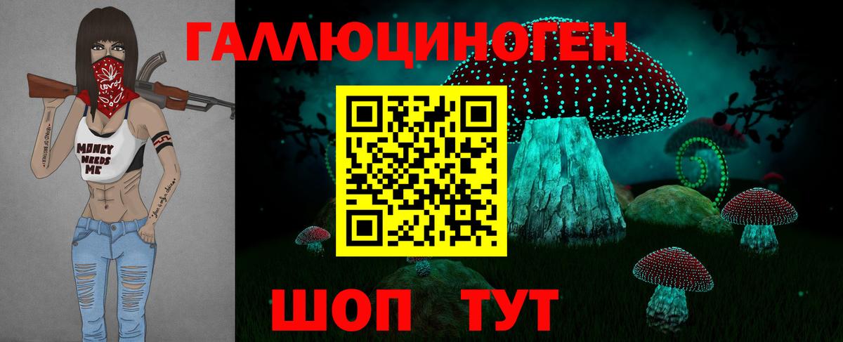 Галлюциногенные грибы Psilocybe Полевской